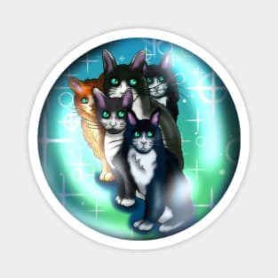 Black and white cats in a crystal ball Magnet